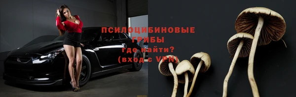 бошки Бронницы