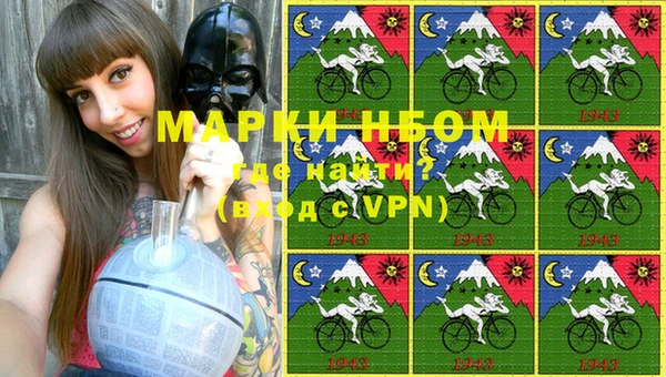 бошки Бронницы