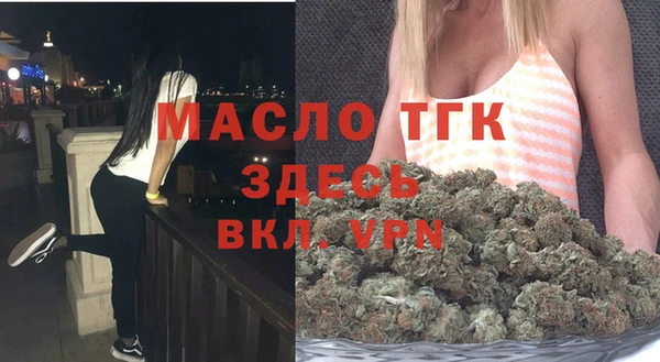 ECSTASY Бородино