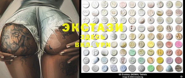 ECSTASY Бородино