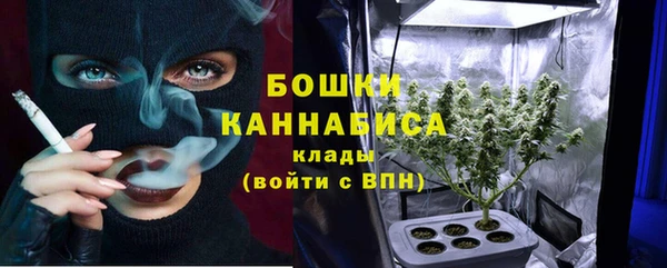 ECSTASY Бородино