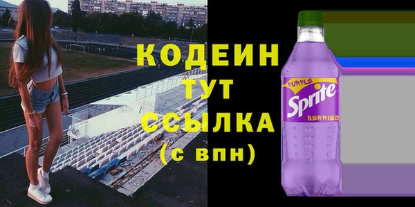 ECSTASY Бородино