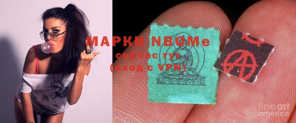 бошки Бронницы