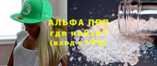 ECSTASY Бородино